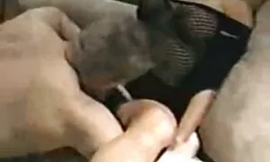 برادرزاده عمه ی لطیفش عكس كس الكسيس را پیچید