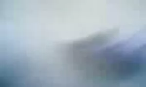 دو شلخته بالغ فیلم س الکسیس را در روغن بچرخانید