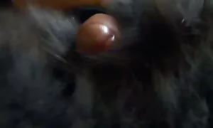 ساشا گری - اسارت عکس سکس کون الکسیس آب